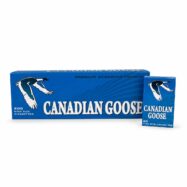 Canadian Goose Blue